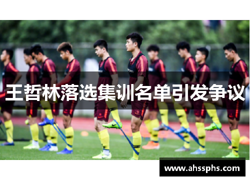 王哲林落选集训名单引发争议